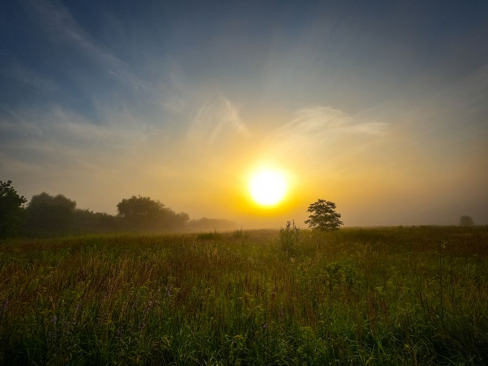 Photograph by Дубинин Сергей