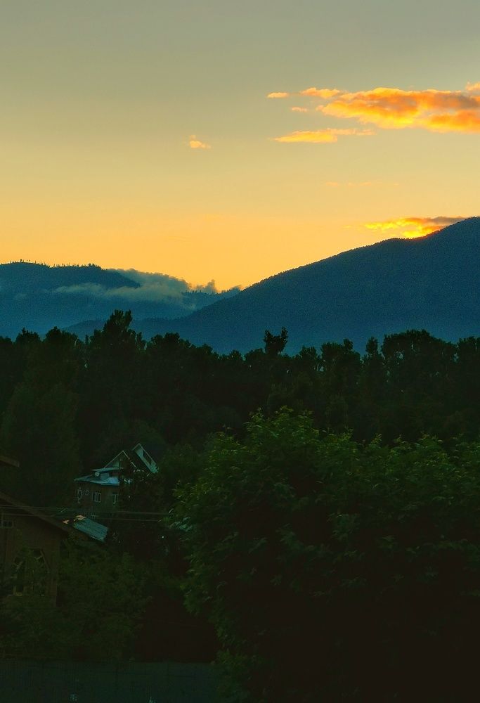 Photo #9336899