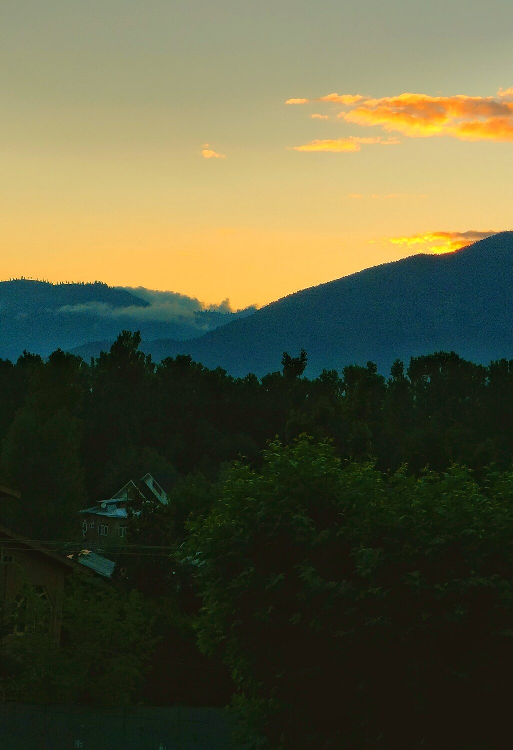 Photo #9336899