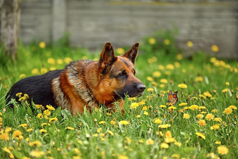 Photograph by Милана Бабченко