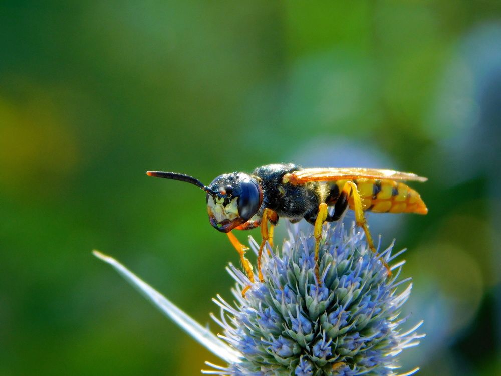 Photograph by Сергей Чеченов