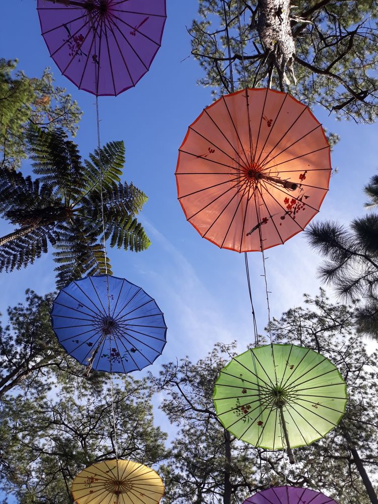 Фотография автора Francis Ian Rosario