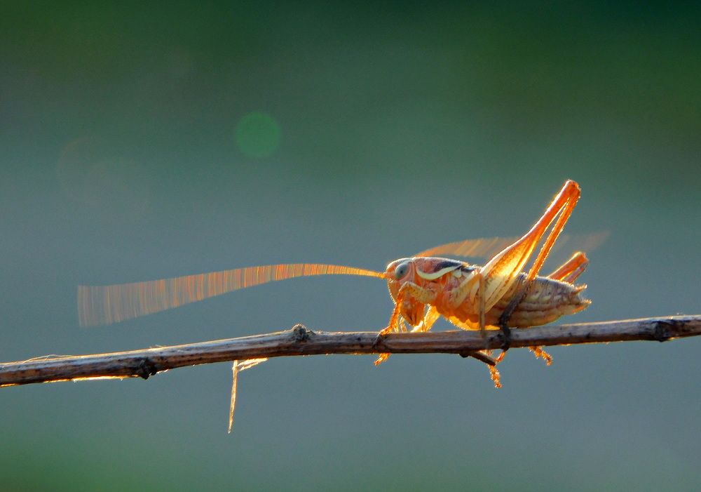 Photograph by Сергей Чеченов