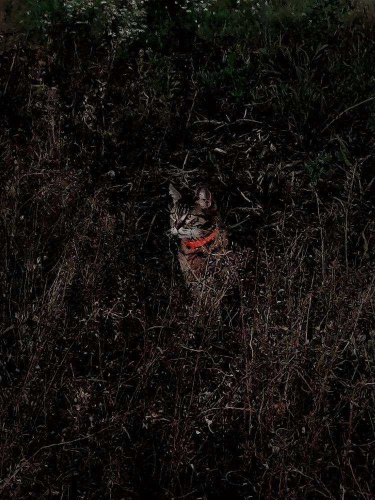 Photograph by Диана Грэске