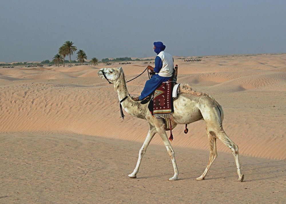 Фотография автора Кирилл Рожнов