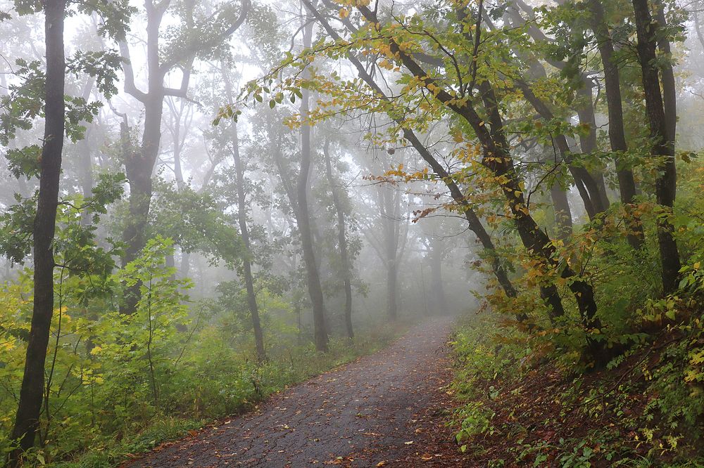 Photograph by Алла Шевченко