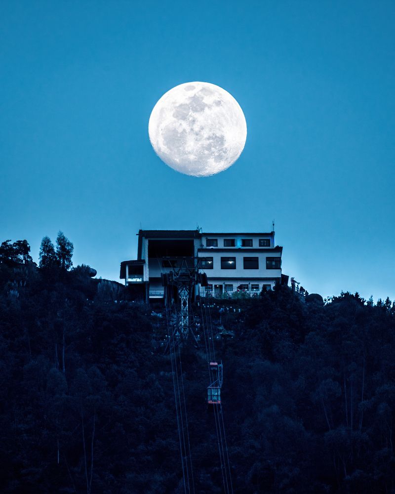 Фотография автора David Vargas