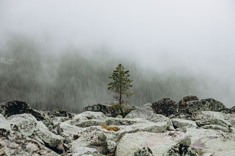 Фотография автора Анна Рыжкова