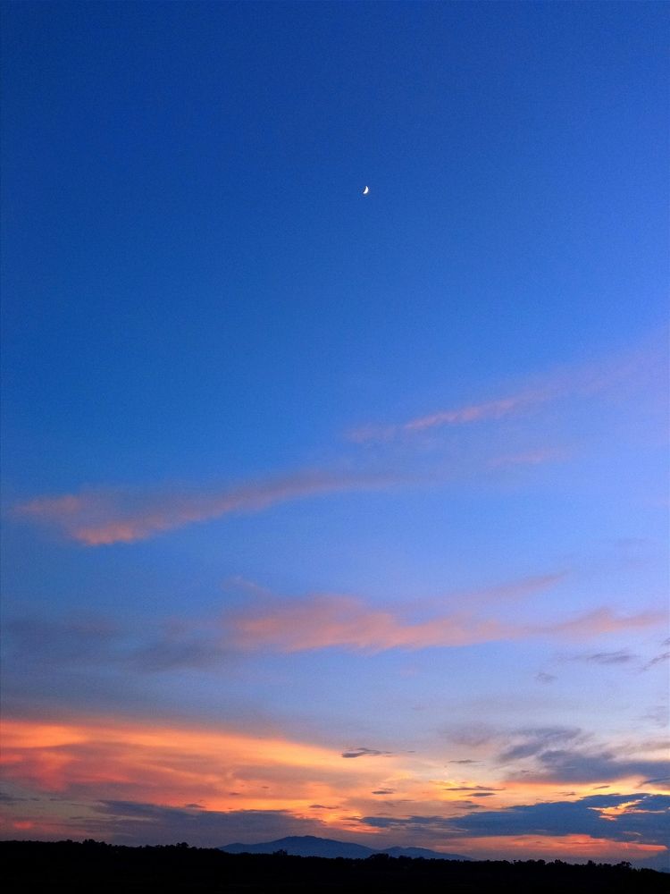 Photo #9337181