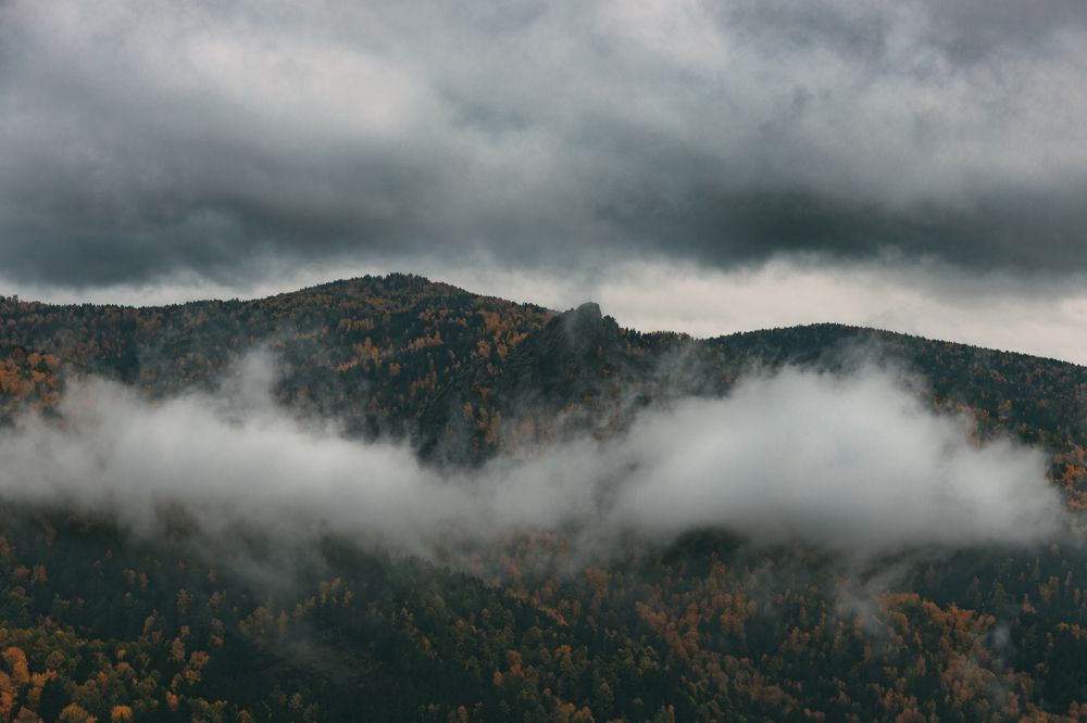 Фотография автора Анна Рыжкова