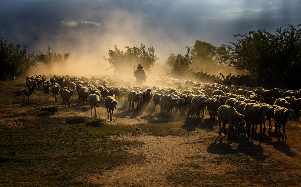Photograph by Sơn nguyễn ngọc