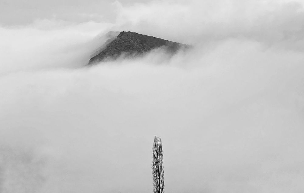 Photograph by samaneh jamali