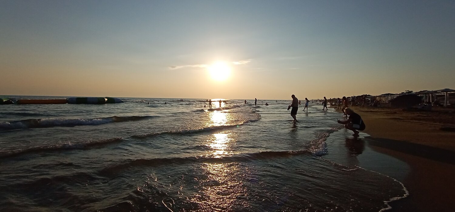 Photo #9337215