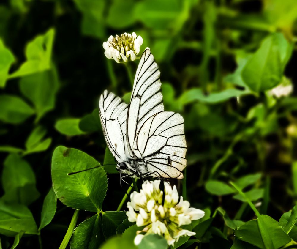 Photograph by Юлия