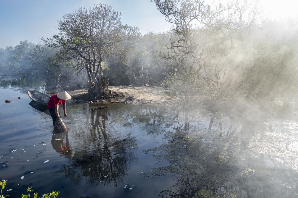 Фотография автора Sơn nguyễn ngọc