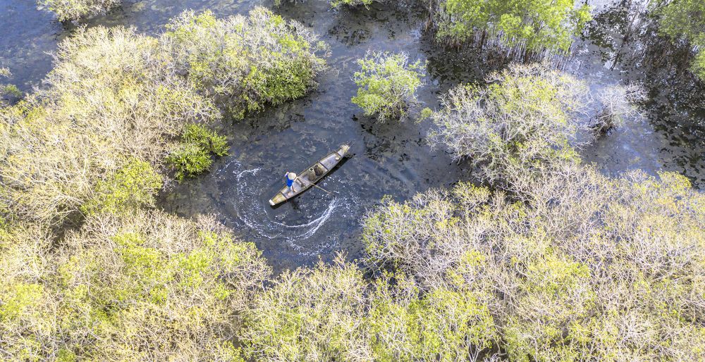 Фотография автора Sơn nguyễn ngọc