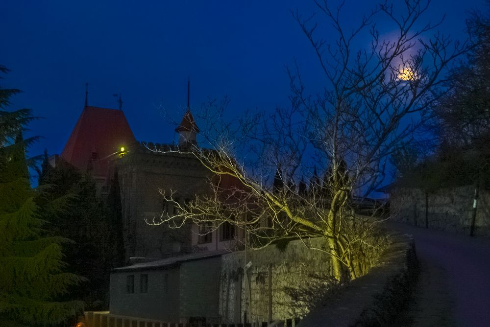 Photograph by Владимир Орлов