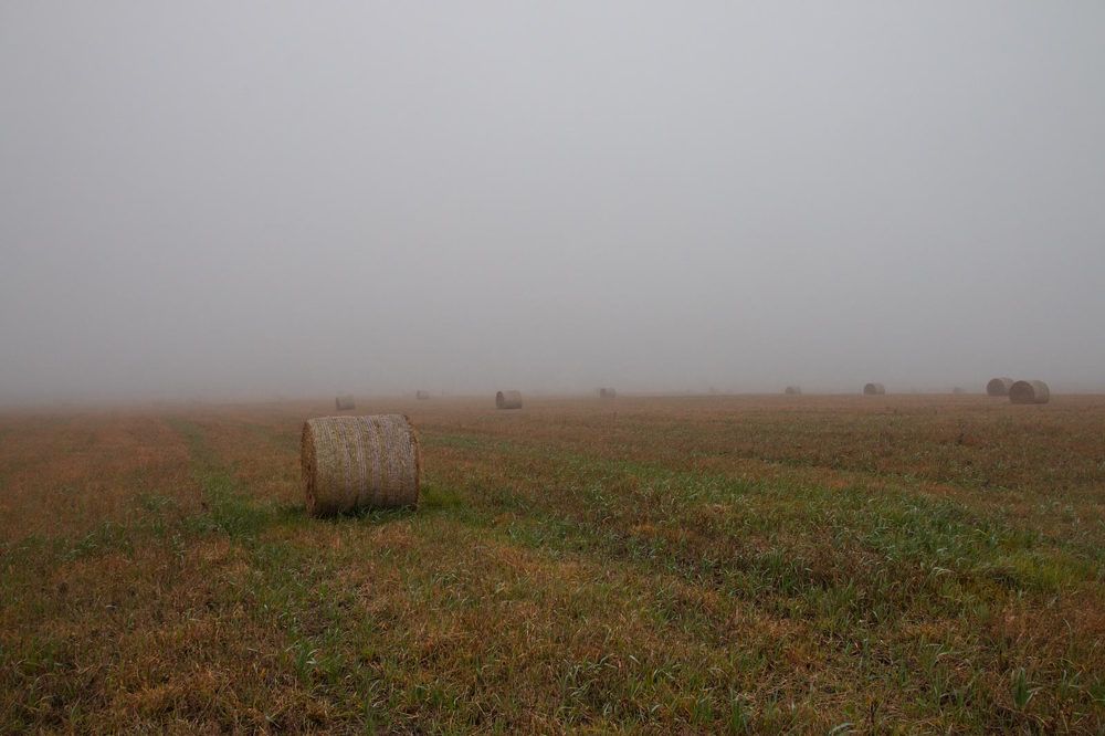 Photograph by Александр