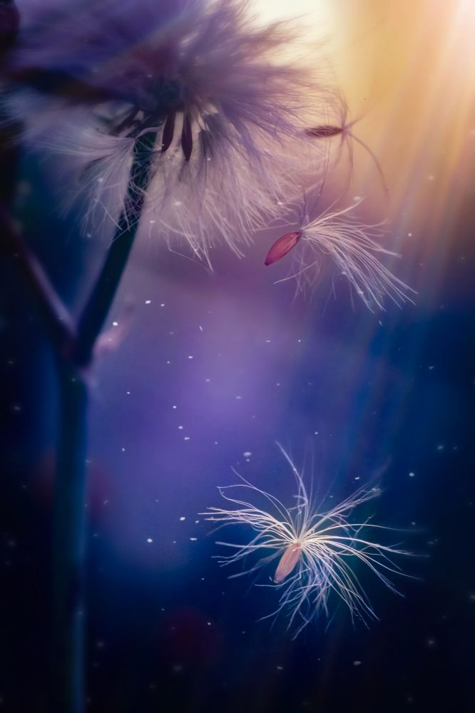 Photograph by Ольга Казакова