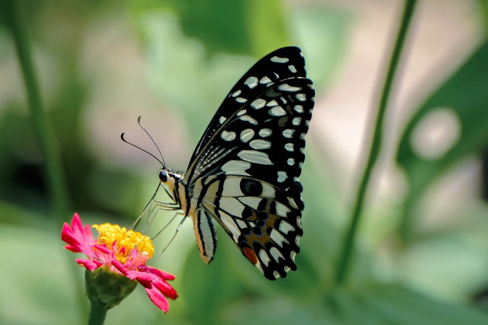 Photograph by Ngọc Phú Nguyễn