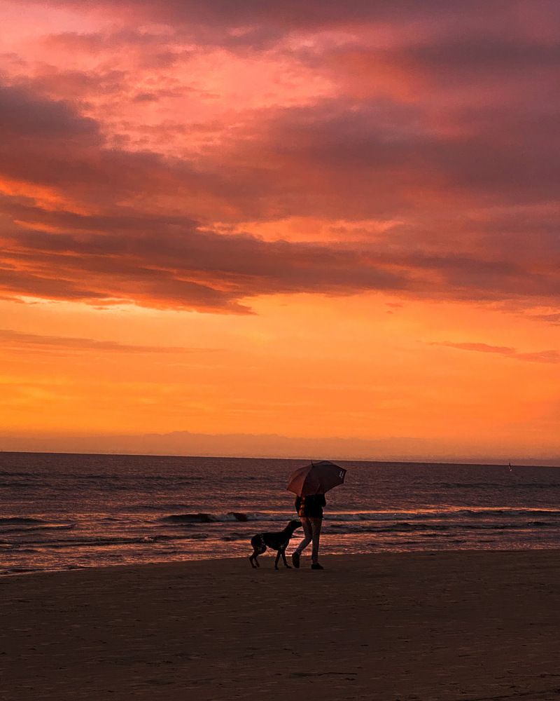 Photograph by Александр