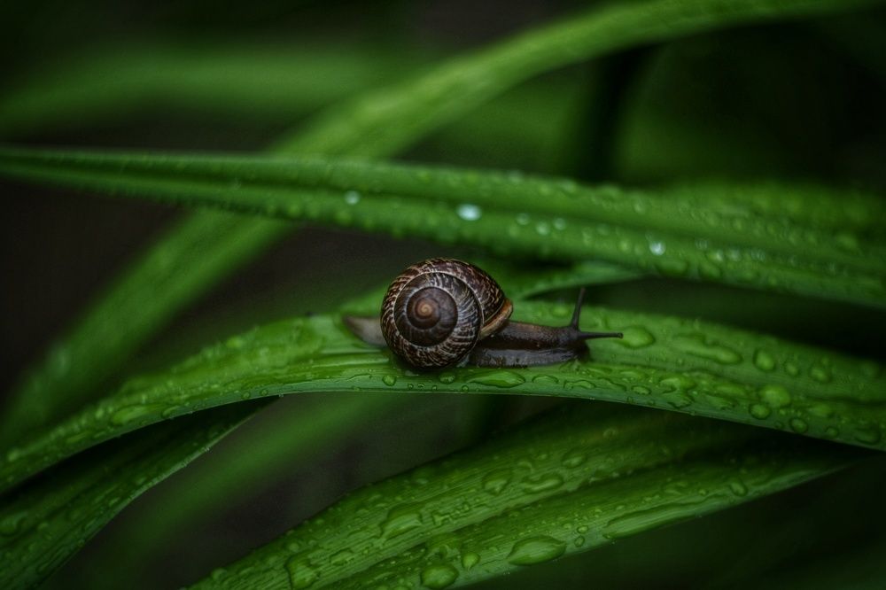 Photograph by  александр