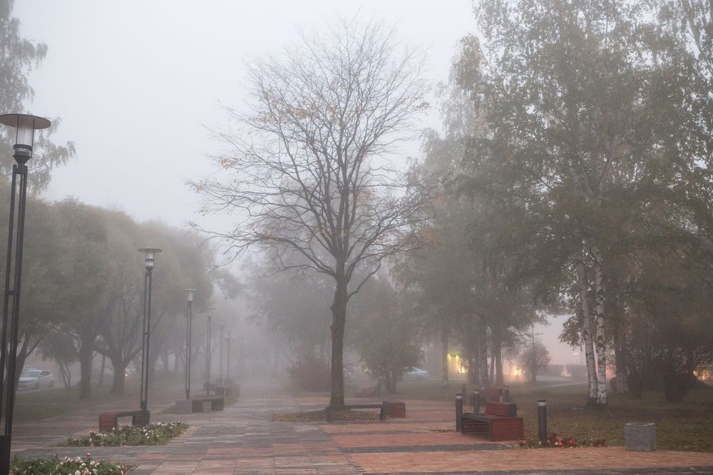 По осенней алее.