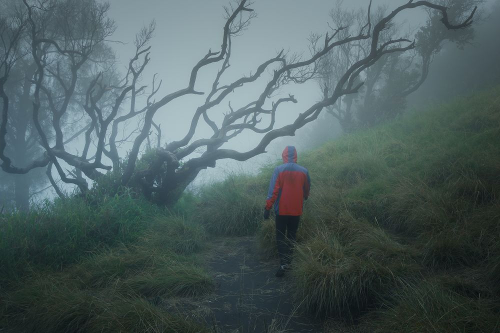 Photograph by Reyin Feno Mega