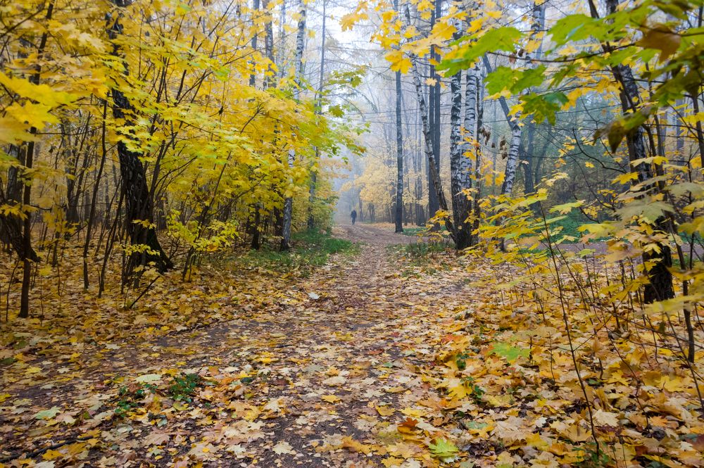 Photograph by Valery Kleymenov