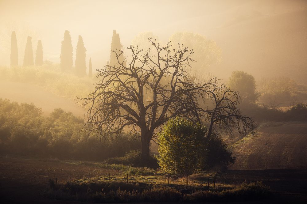 Photograph by Антон Ростовский