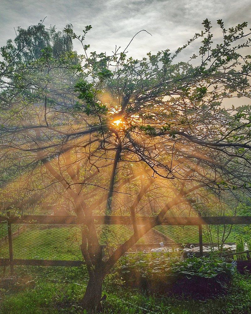 Photograph by Татьяна Лисянская