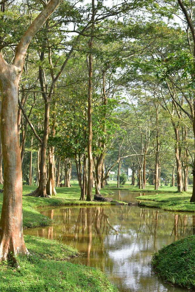 Фотография автора Rajitha Fernando