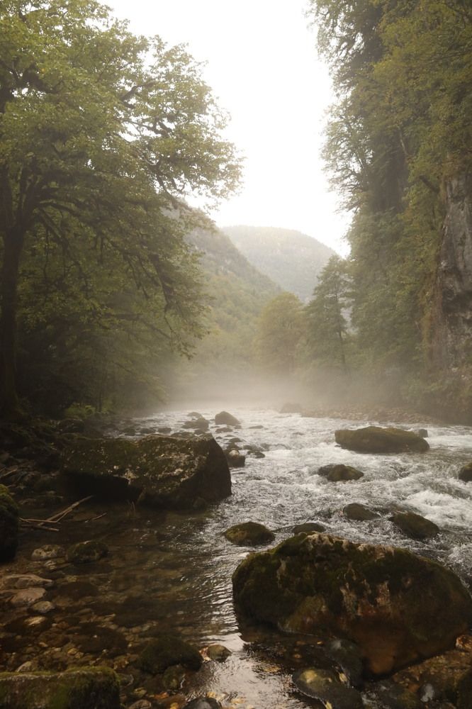 Photograph by Юлия Кондрашина