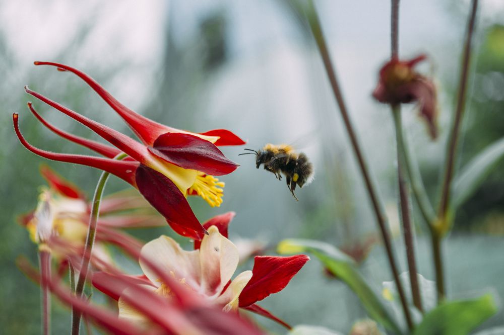 Photograph by Анна