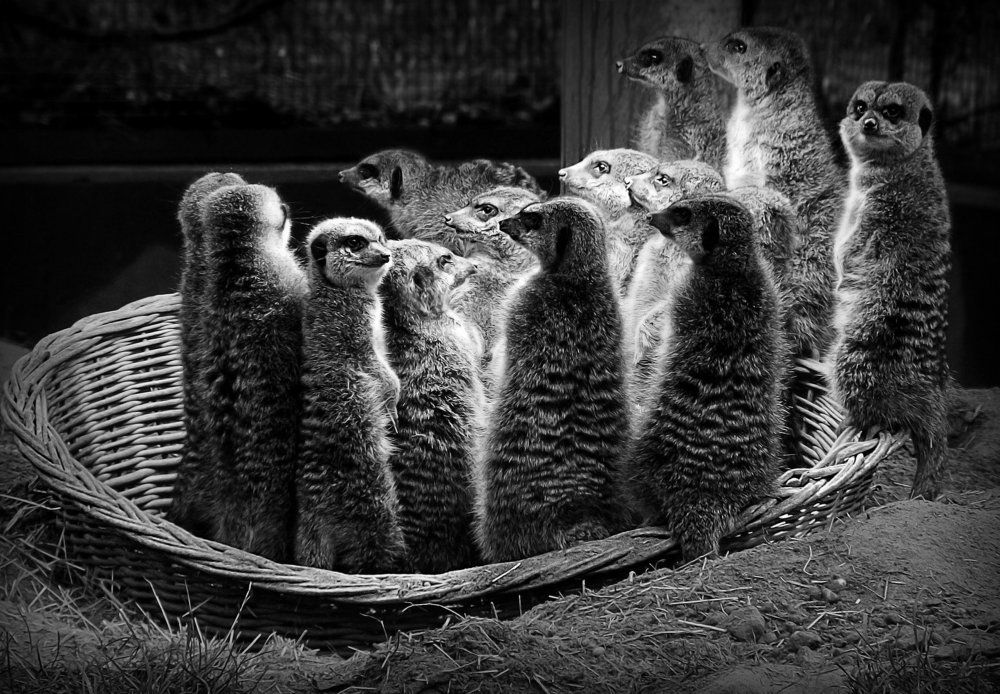 Фотография автора Александр