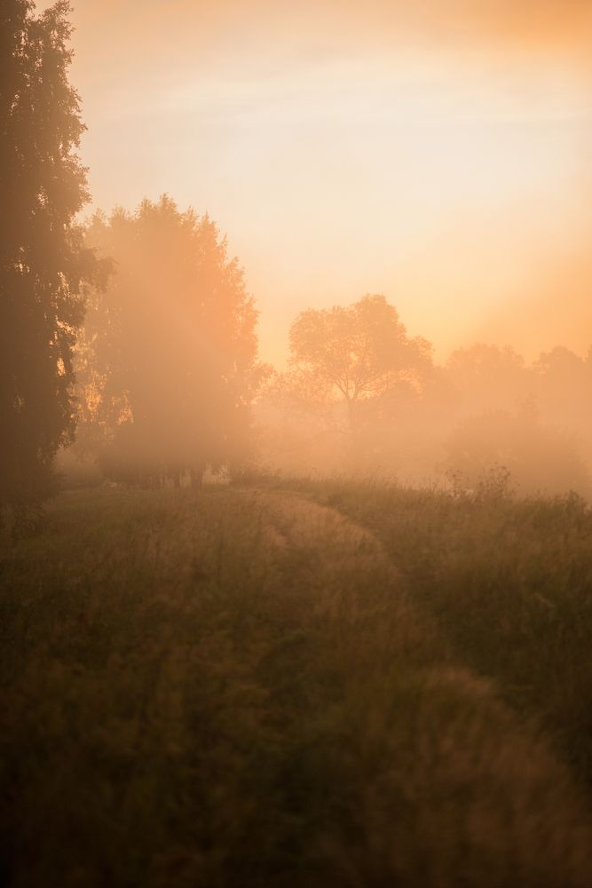 Photograph by Олеся Парфенова