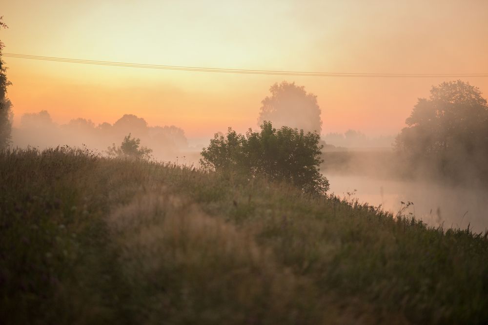 Photograph by Олеся Парфенова