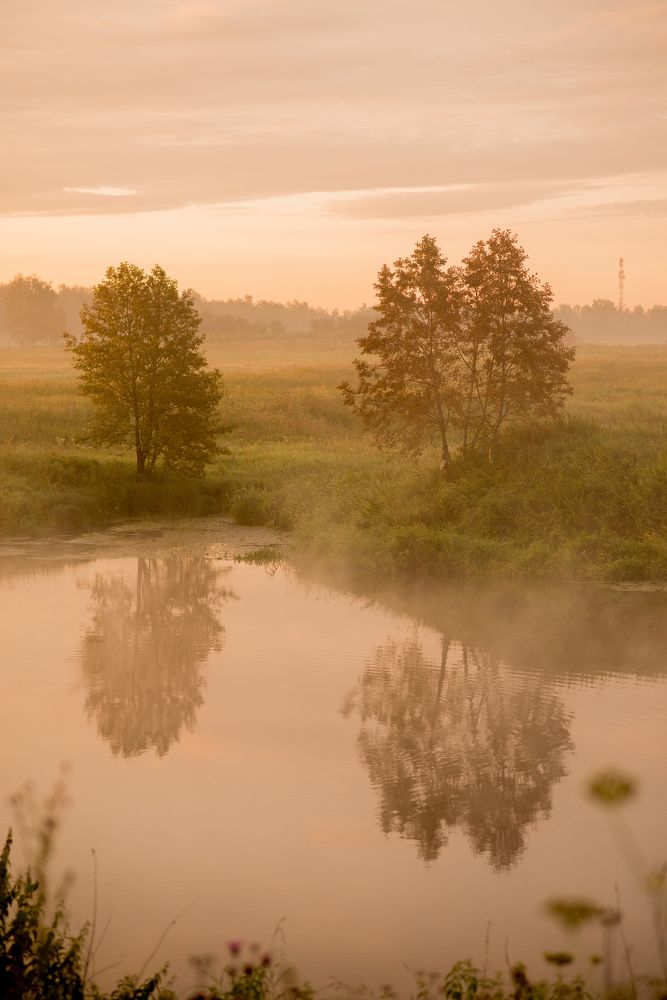 Photograph by Олеся Парфенова