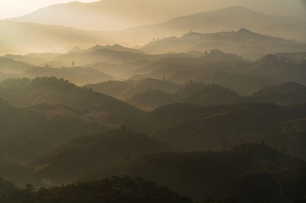 Photograph by Tran Phuong