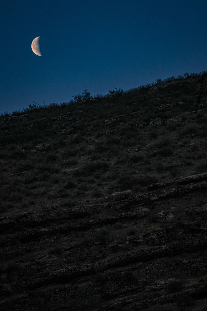 Photograph by Javad zavvar