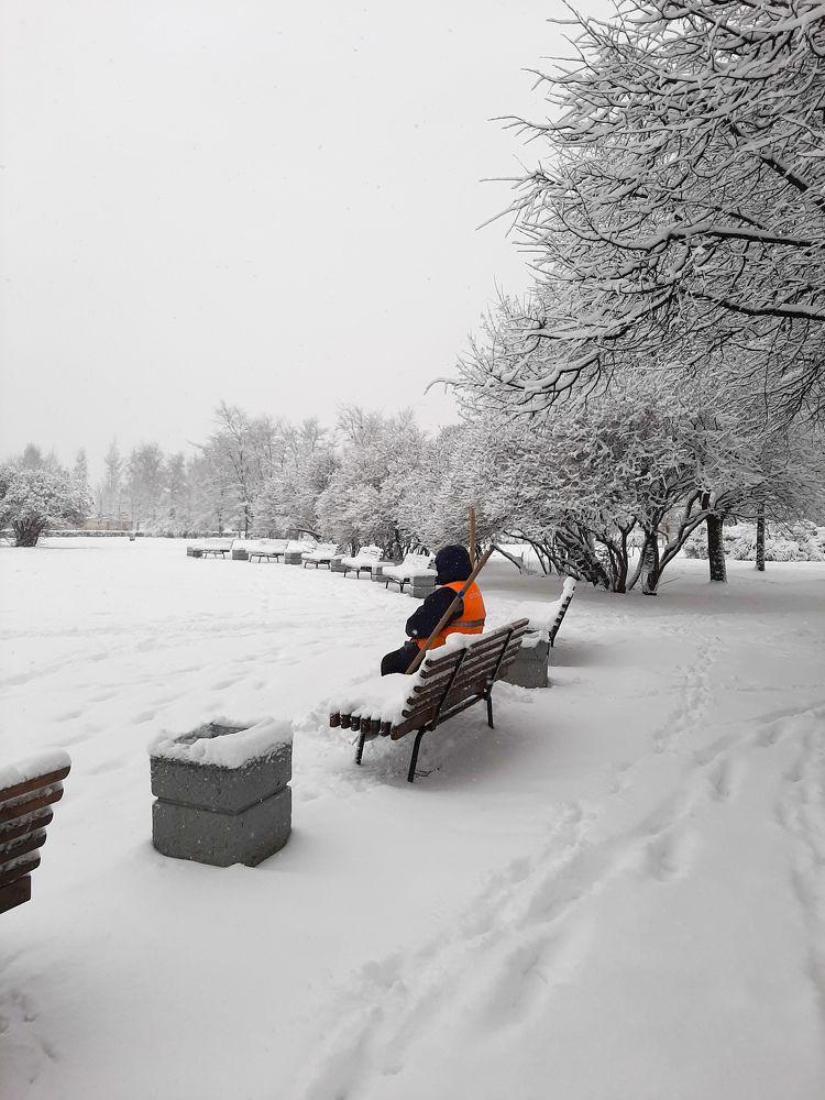 Фотография автора Светлана Дунаева