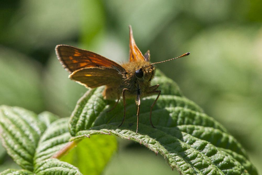 Photograph by Лапенкова Ольга