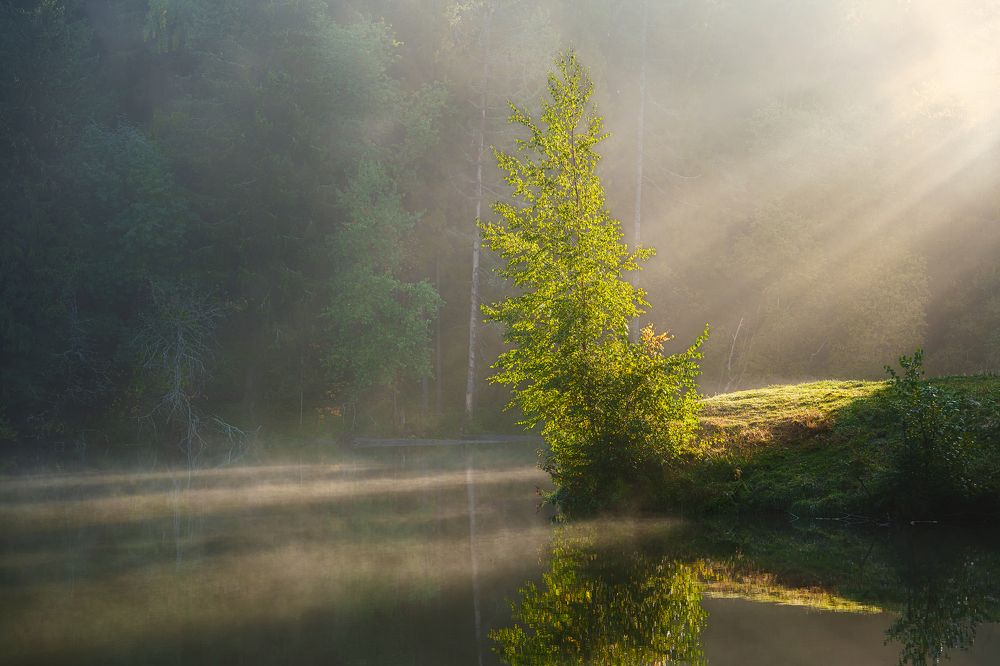 Рассвет на Лесном озере