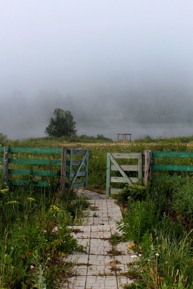 Photograph by Алия Кутлова