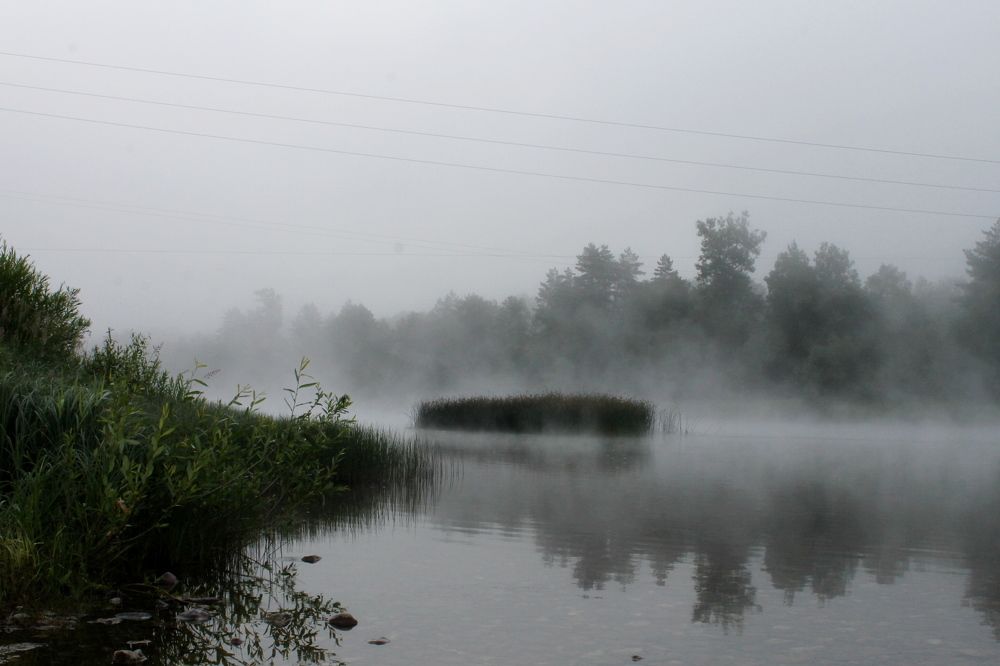 Photograph by Алия Кутлова