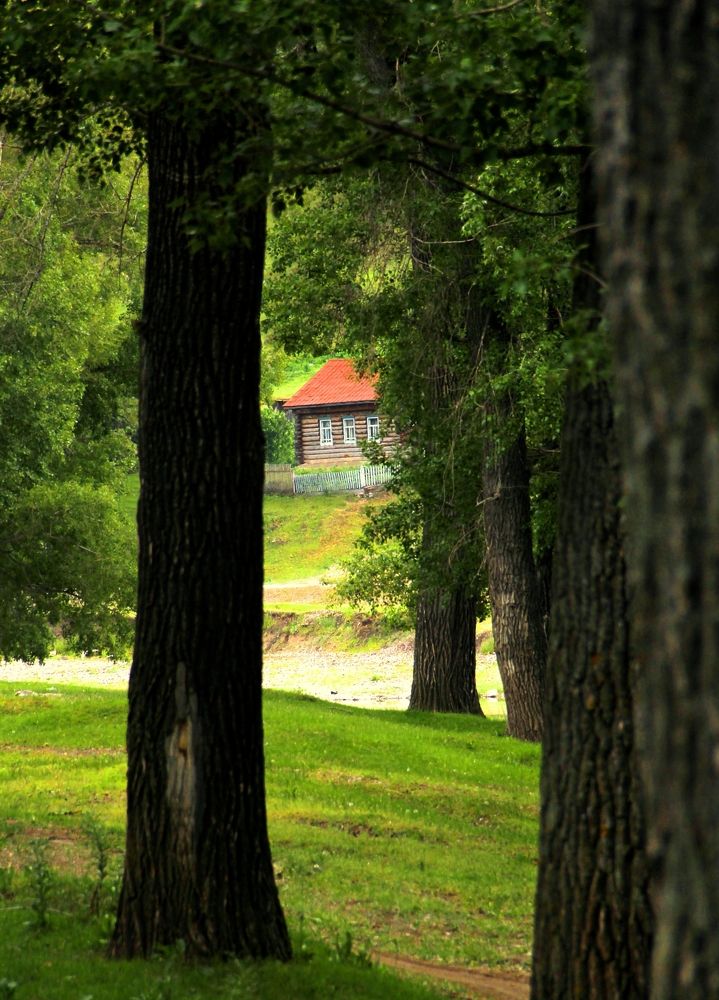 Photograph by Андрей Стародубцев