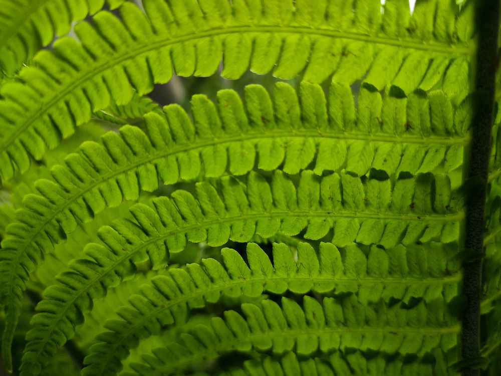 Photograph by Николай Захаров