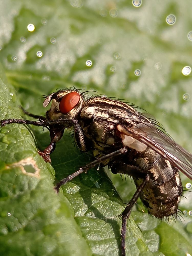 Photograph by Федоренко Элеонора