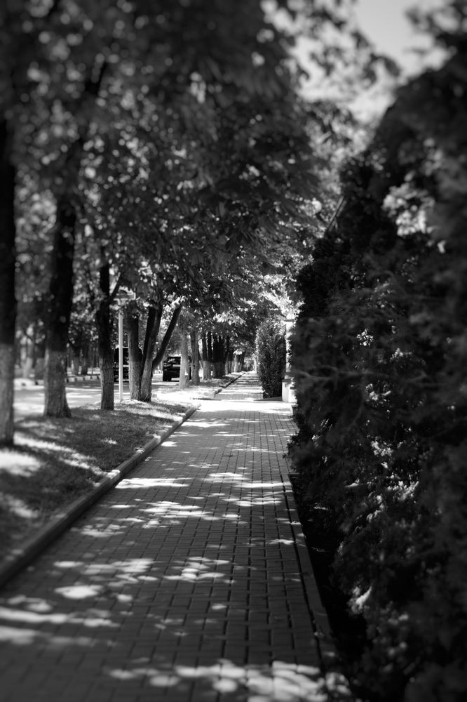 Photograph by Екатерина Мурсынина