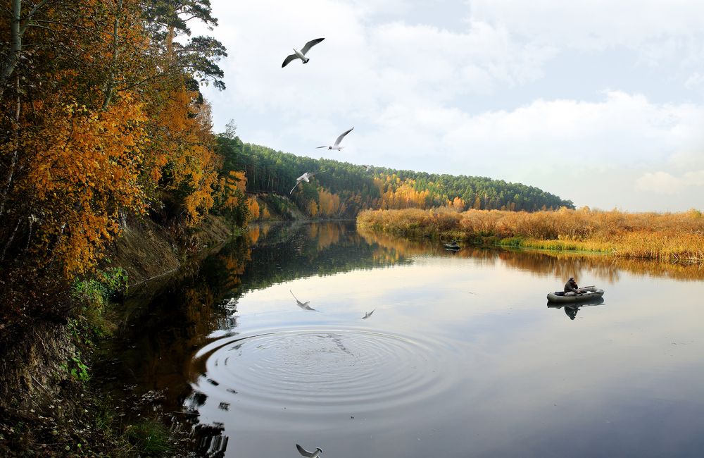 Photograph by Андрей Стародубцев